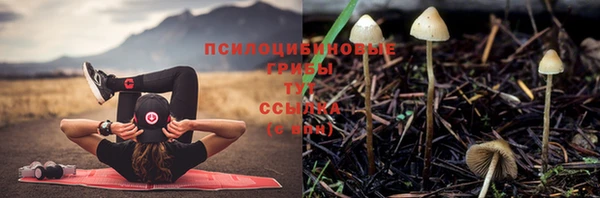 мефедрон мука Новодвинск