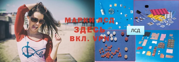 дживик Новозыбков