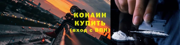 дживик Новозыбков