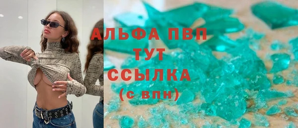 дживик Новозыбков