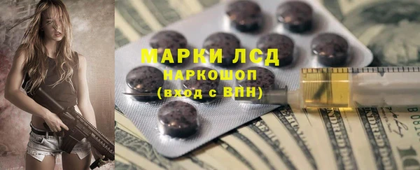 дживик Новозыбков