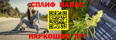 spice Абакан