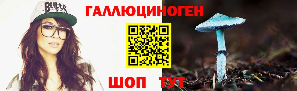 Апатиты  Галлюциногенные грибы прущие грибы  Псилоцибиновые грибы Psilocybine cubensis  Вход с VPN 